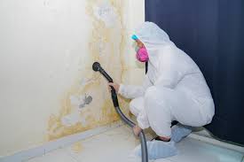 Asbestos and Lead Testing During Mold Inspection in Mount Pulaski, IL